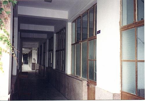 762234236933413030.jpg  效实中学