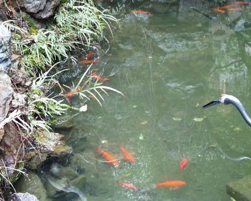 762234236933412748.jpg  效实中学